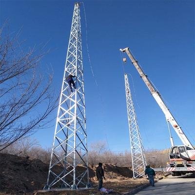 廣西金屬材料公司避雷塔及接地工程